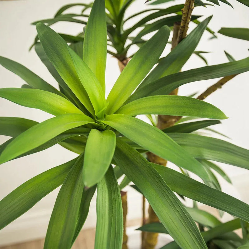 Le Present-Faux Botanical Indoor Green Dracaena-Potted Plants-LOOMLAN