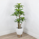 Le Present-Faux Botanical Indoor Green Dracaena-Potted Plants-LOOMLAN