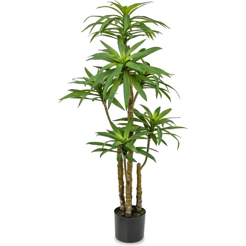 Le Present-Faux Botanical Indoor Green Dracaena-Potted Plants-LOOMLAN