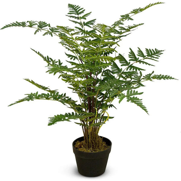 Le Present-Faux Botanical Indoor Green Fern-Potted Plants-LOOMLAN