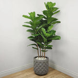 Faux Botanical Indoor Green Fiddle Leaf Fig-Artificial Trees-Le Present-LOOMLAN