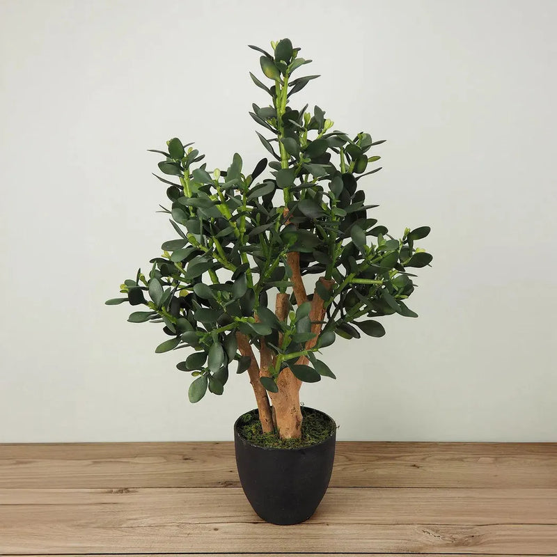 Le Present-Faux Botanical Indoor Green Jade Plant-Potted Plants-LOOMLAN