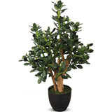 Le Present-Faux Botanical Indoor Green Jade Plant-Potted Plants-LOOMLAN