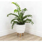 Le Present-Faux Botanical Indoor Green Kamuning-Potted Plants-LOOMLAN