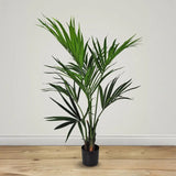 Le Present-Faux Botanical Indoor Green Kentia Palm-Potted Plants-LOOMLAN