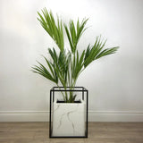 Le Present-Faux Botanical Indoor Green Kentia Palm-Potted Plants-LOOMLAN