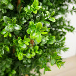 Faux Botanical Outdoor Green Boxwood Tree