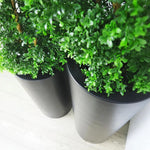 Faux Botanical Outdoor Green Boxwood Tree