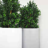 Faux Botanical Outdoor Green Boxwood Tree-Artificial Trees-Le Present-LOOMLAN