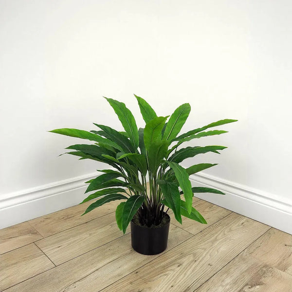 Le Present-Faux Botanical Outdoor Green Calathea-Potted Plants-22" H-LOOMLAN