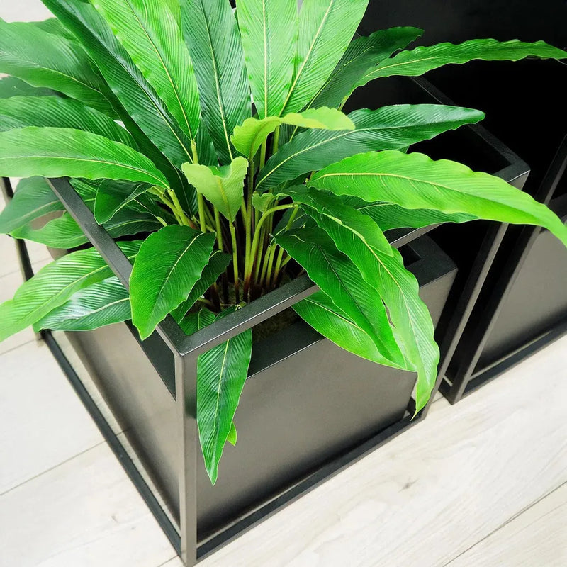 Le Present-Faux Botanical Outdoor Green Calathea-Potted Plants-22" H-LOOMLAN