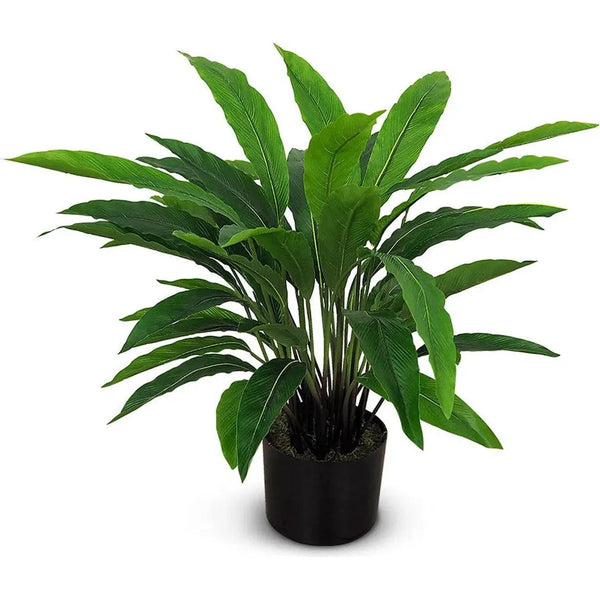 Le Present-Faux Botanical Outdoor Green Calathea-Potted Plants-22" H-LOOMLAN