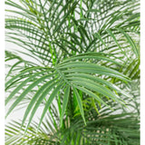 Faux Botanical Outdoor Green Palm Tree-Artificial Trees-Le Present-LOOMLAN