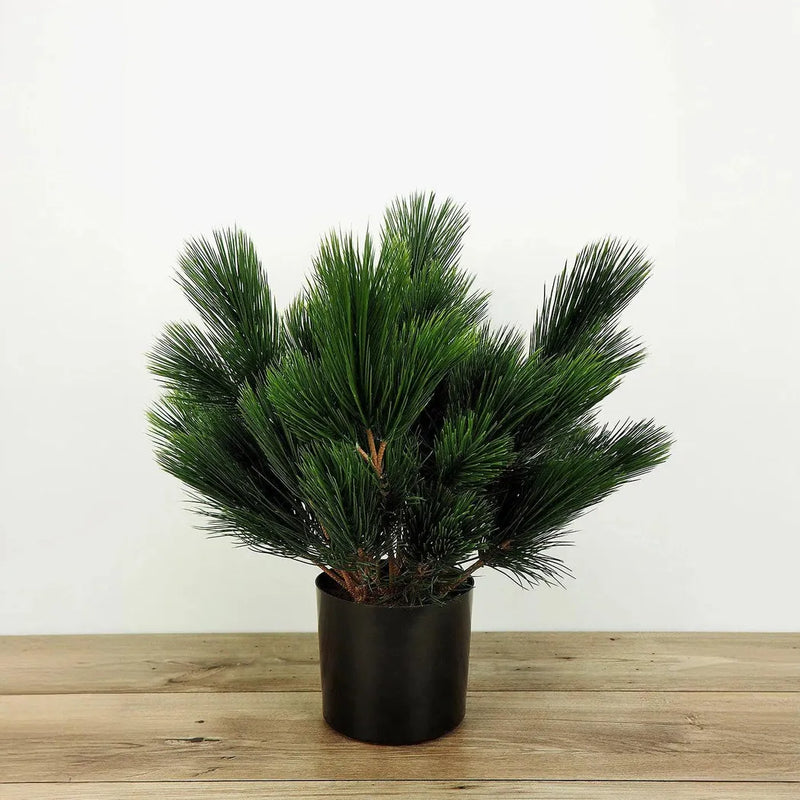 Faux Botanical Outdoor Green Pinus-Artificial Trees-Le Present-LOOMLAN