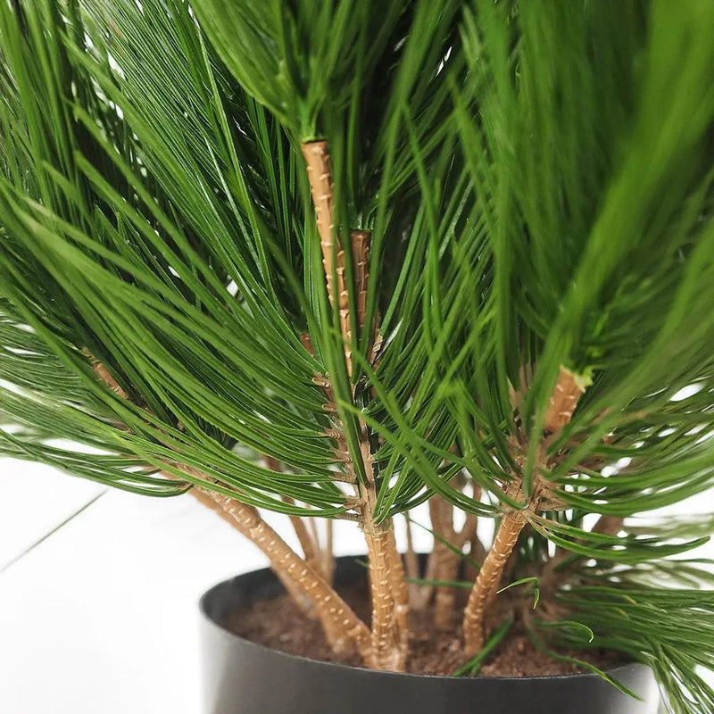 Faux Botanical Outdoor Green Pinus-Artificial Trees-Le Present-LOOMLAN