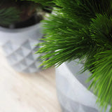 Faux Botanical Outdoor Green Pinus-Artificial Trees-Le Present-LOOMLAN