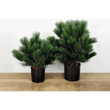 Faux Botanical Outdoor Green Pinus-Artificial Trees-Le Present-LOOMLAN