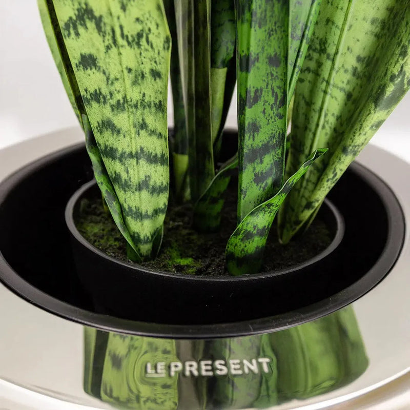 Le Present-Faux Botanical Outdoor Green Sansevieria-Potted Plants-Green-26" H-LOOMLAN