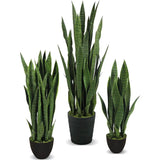 Le Present-Faux Botanical Outdoor Green Sansevieria-Potted Plants-Green-26" H-LOOMLAN