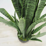 Le Present-Faux Botanical Outdoor Green Sansevieria-Potted Plants-Green-26" H-LOOMLAN