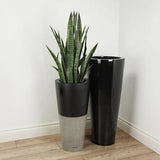 Le Present-Faux Botanical Outdoor Green Sansevieria-Potted Plants-Green-26" H-LOOMLAN