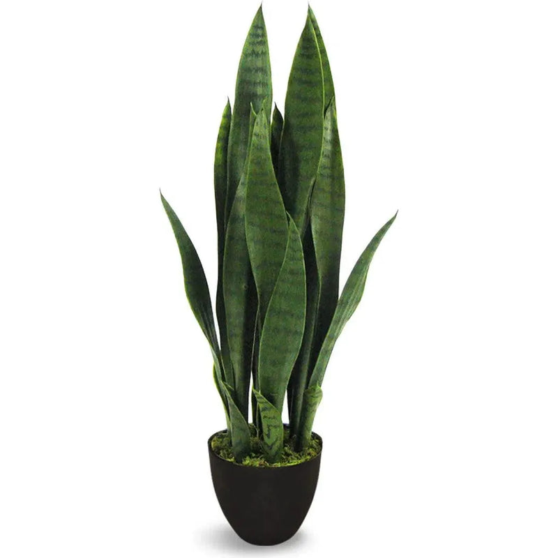 Le Present-Faux Botanical Outdoor Green Sansevieria-Potted Plants-Green-26" H-LOOMLAN