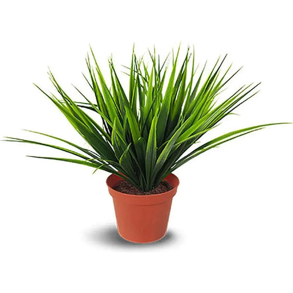 Le Present-Faux Outdoor Artificial Green Potted Grass-Potted Plants-LOOMLAN