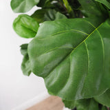 Faux Outdoor Green Fiddle Leaf Fig Tree-Artificial Trees-Le Present-LOOMLAN