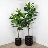 Faux Outdoor Green Fiddle Leaf Fig Tree-Artificial Trees-Le Present-LOOMLAN