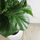 Faux Outdoor Green Fiddle Leaf Fig Tree-Artificial Trees-Le Present-LOOMLAN