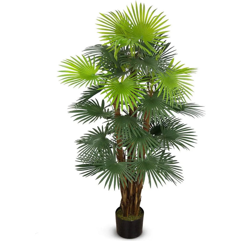 Faux Outdoor Green Fortune Palm Tree-Artificial Trees-Le Present-55" H-LOOMLAN