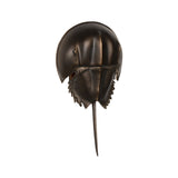 Horseshoe Crab Design Wall Sconce-Wall Sconces-Chelsea House-Brown-LOOMLAN