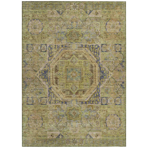Iriir Aloe Washable Indoor-Outdoor Rug