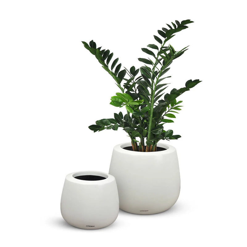 Belly Modern Designed Outdoor Planter