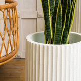 Tulip Modern Designed Outdoor Fiberglass Planter