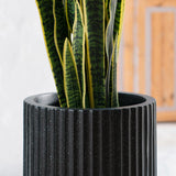 Nudrop  Elegant Designed Outdoor Fiberglass Pin Planter