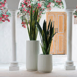 Nudrop  Elegant Designed Outdoor Fiberglass Pin Planter