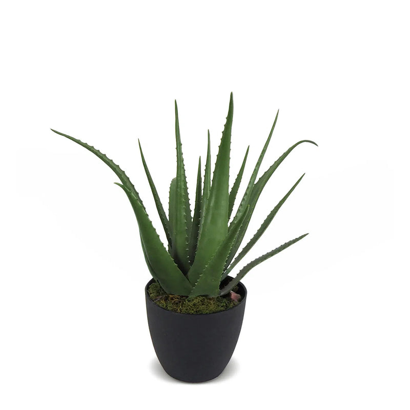 Faux Botanical Outdoor Green Aloe with Pot