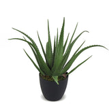 Faux Botanical Outdoor Green Aloe with Pot