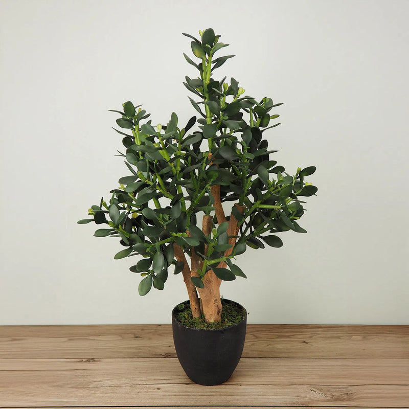 Faux Botanical Indoor Green Jade Plant