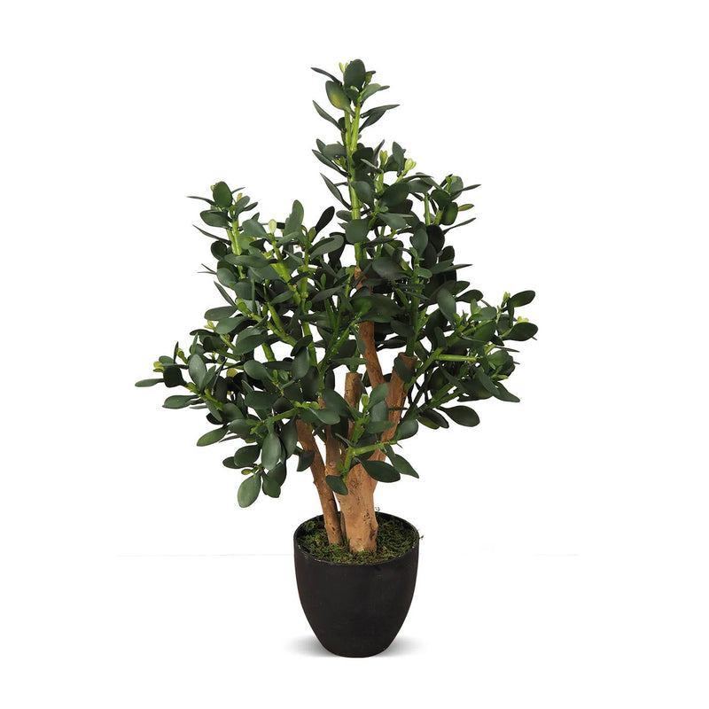 Faux Botanical Indoor Green Jade Plant