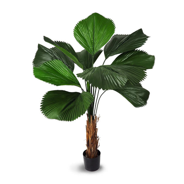 Faux Botanical Indoor Green Licuala Grandis