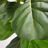 Faux Botanical Outdoor Green Fiddle Leaf Fig