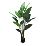 Faux Botanical Outdoor Green Traveler's Palm