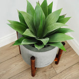 Faux Botanical Outdoor Green Agave