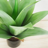 Faux Botanical Outdoor Green Agave