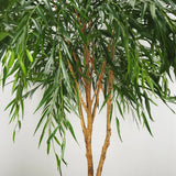 Faux Botanical Outdoor Green Willow Tree