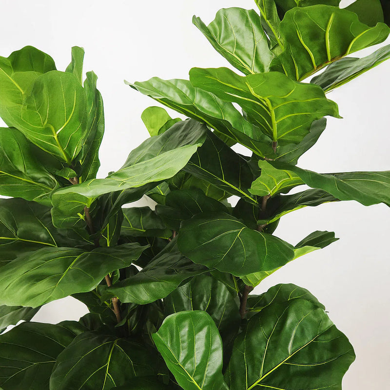 Faux Botanical Indoor Green Fiddle Leaf Fig