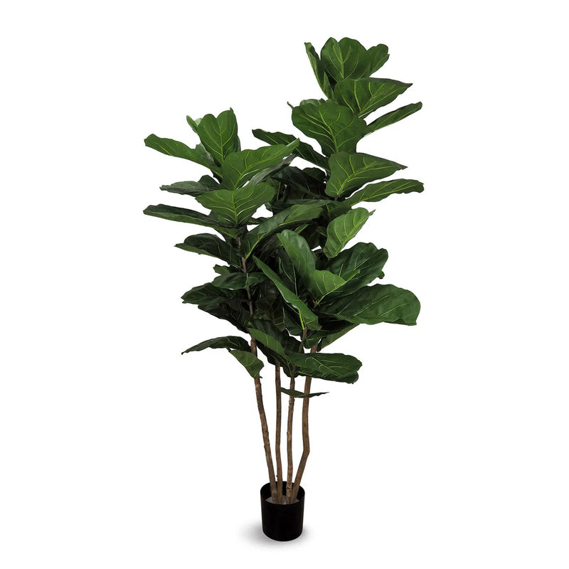 Faux Botanical Indoor Green Fiddle Leaf Fig