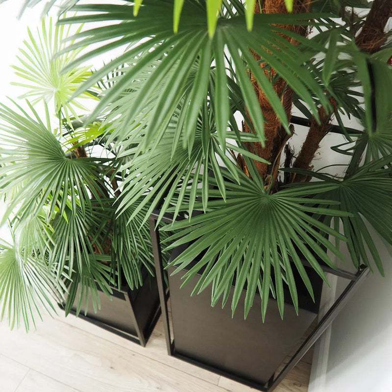 Faux Botanical Outdoor Green Fortune Palm Tree